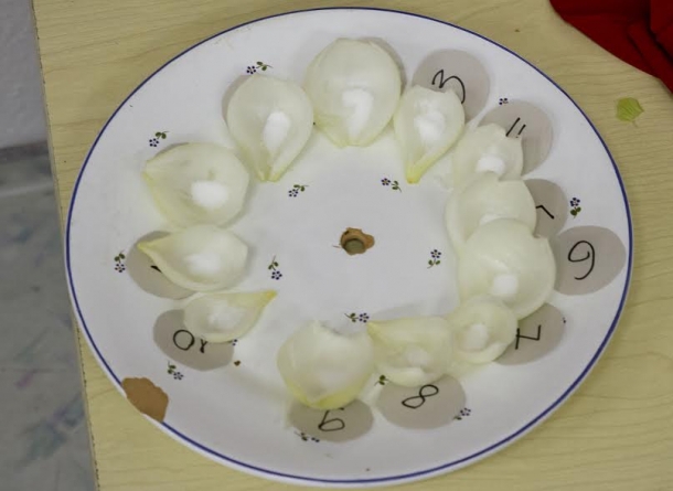 2 Hagymakalendárium