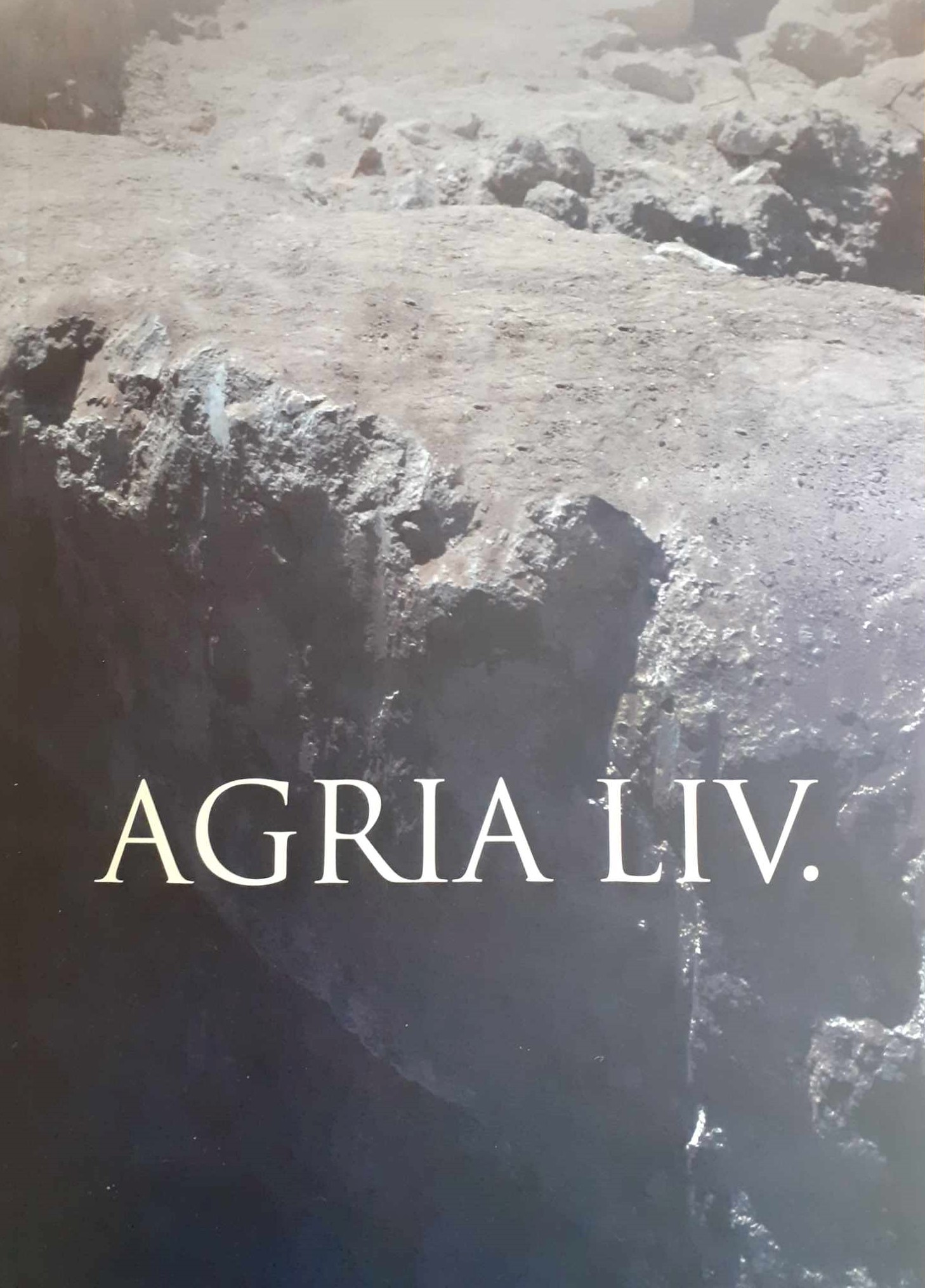 364151007 615587123895097 397002726666288117 n