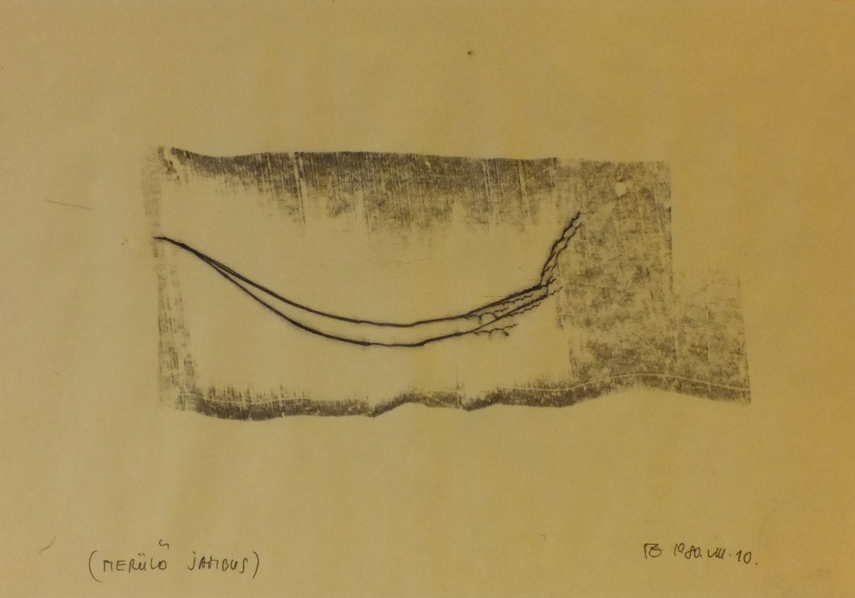 83 45 14 Tandori DSCF4005