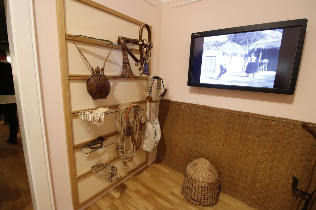 Pásztor kiáll. 2024 04 24 22