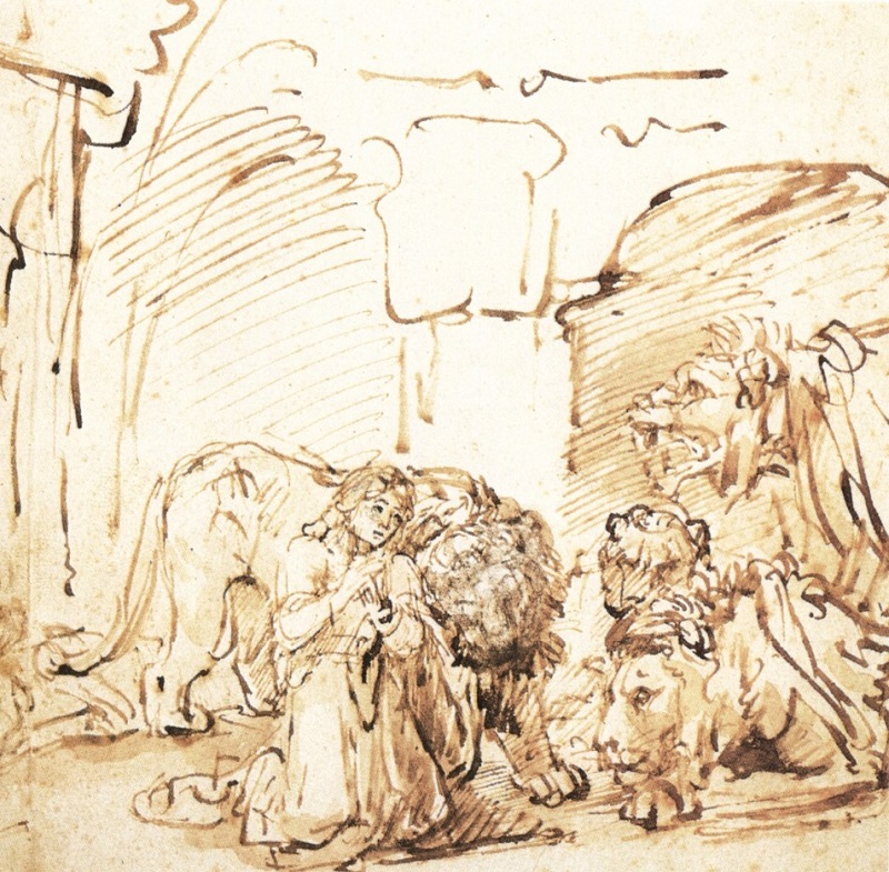 image5