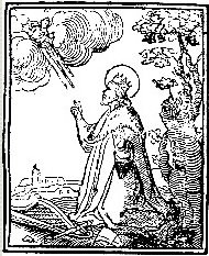 rimay illusztráció